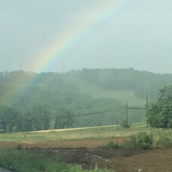 Meet your Posher, Carrie - Picture 2 of 5